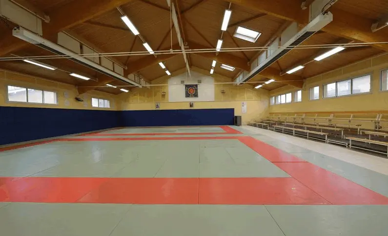 dojo